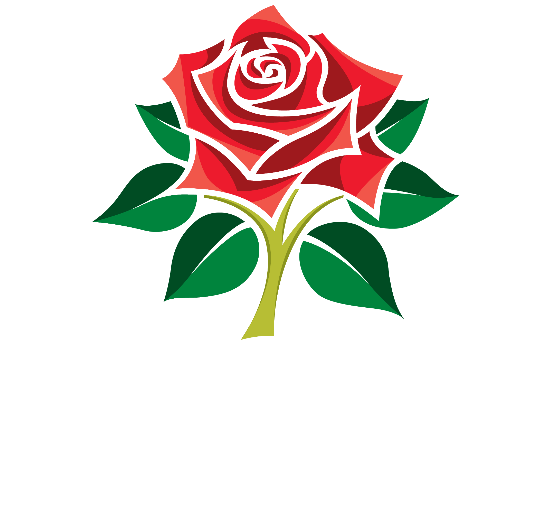../Images/compant-logo/lancashire-cricket-club-black.png